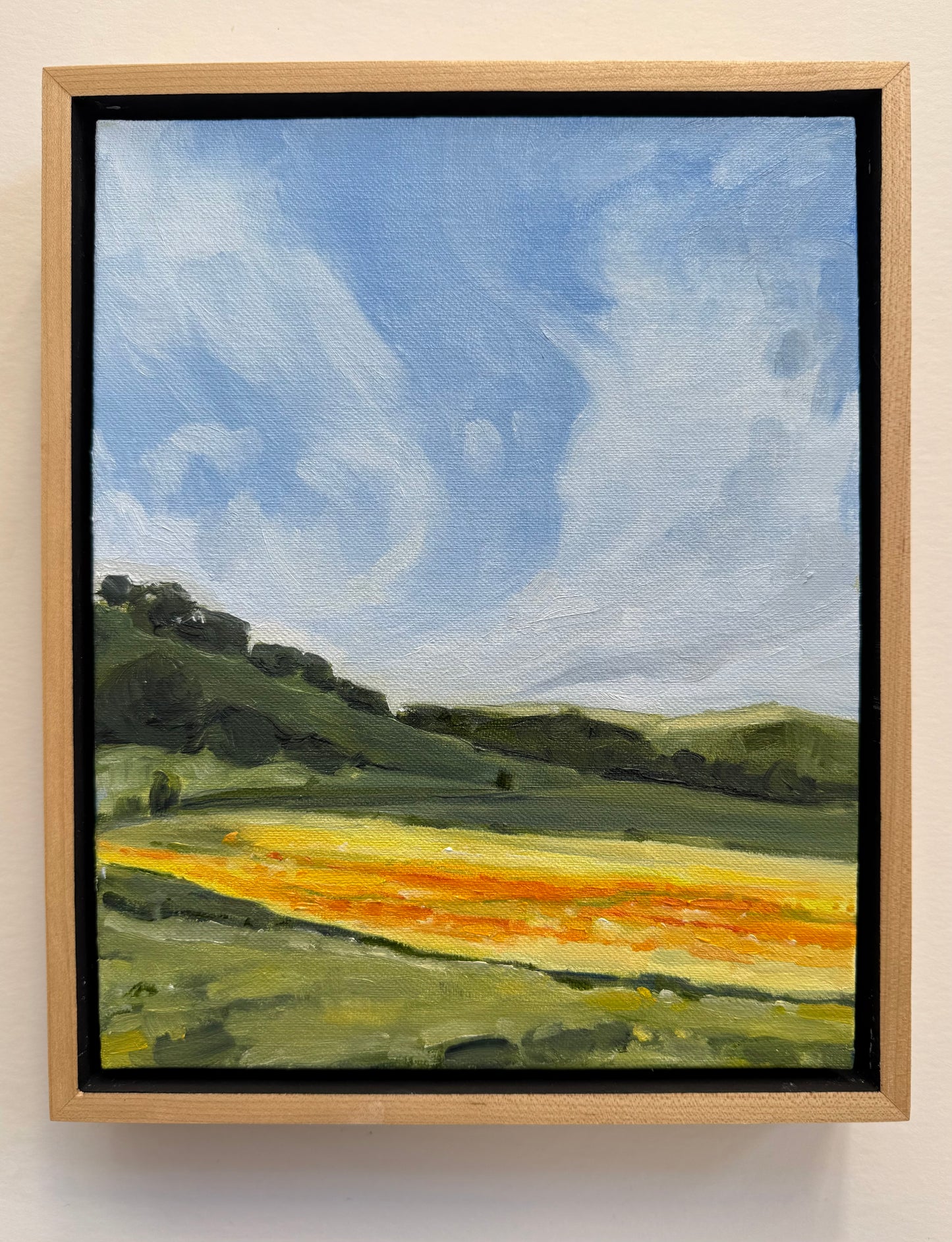 California Poppies