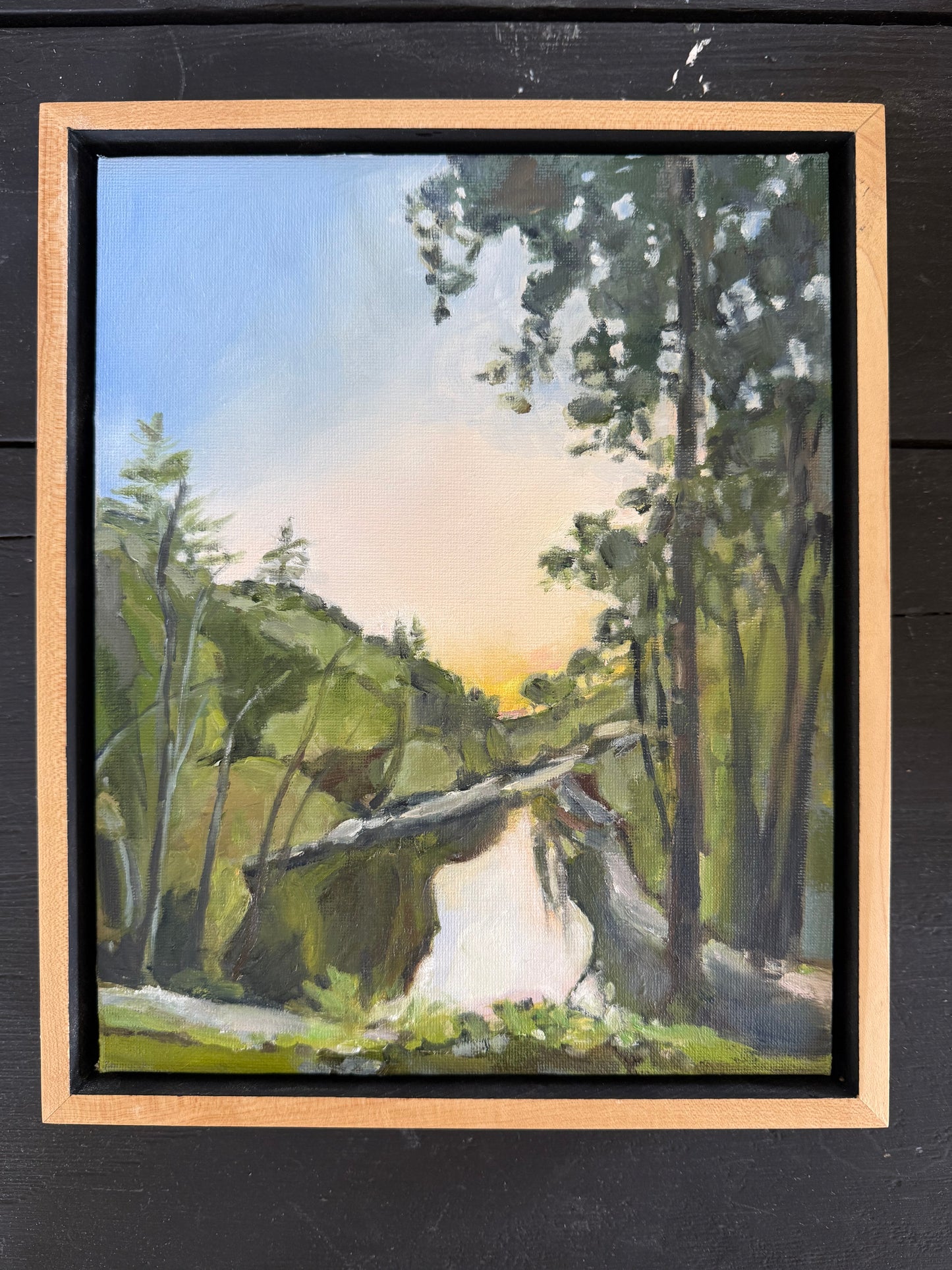 Sunlit River Bend