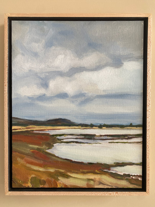Suisun Marsh